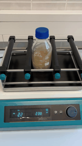 Conventional extraction